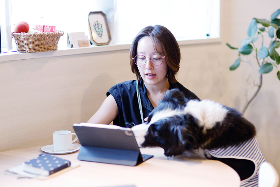 テーブルで仕事をするくつざわさんと邪魔をする愛犬ジョアくん